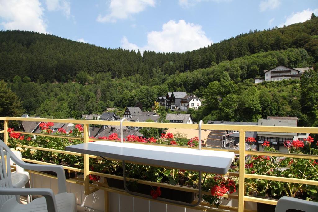 Appartementhaus Vierjahreszeiten Willingen  Rum bild